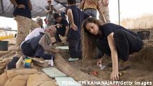 Israeli archaeologists dig up rare 500,000-year-old elephant tusk