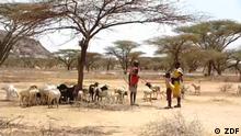 Afrika / Kenia
Beschreibung: In Afrika leiden viele unter extremer Mangelernährung. Wegen Dürre und Hunger schlachten die Bauern ihr letztes Vieh.
Rechte: sind nur für diesen Beitrag gegeben!
Copy: ZDF
