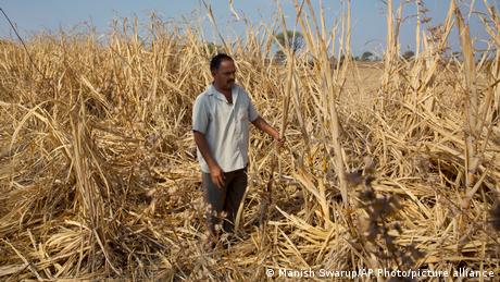 В Индия се самоубиват все повече фермери и работници в