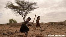 11.7.2022***A young girl breaks a wood against a rock at the Parapul village, in Loiyangalani area where families affected by the prolonged drought live, in Marsabit on July 11, 2022. - At least 18 million people across the Horn of Africa are facing severe hunger as the worst drought in 40 years devastates the region.
Over four million are in Kenya's often-forgotten north, a number that has climbed steadily this year, as the crisis struggles to attract national attention in the midst of a hard-fought -- and expensive -- election campaign. (Photo by Simon MAINA / AFP)