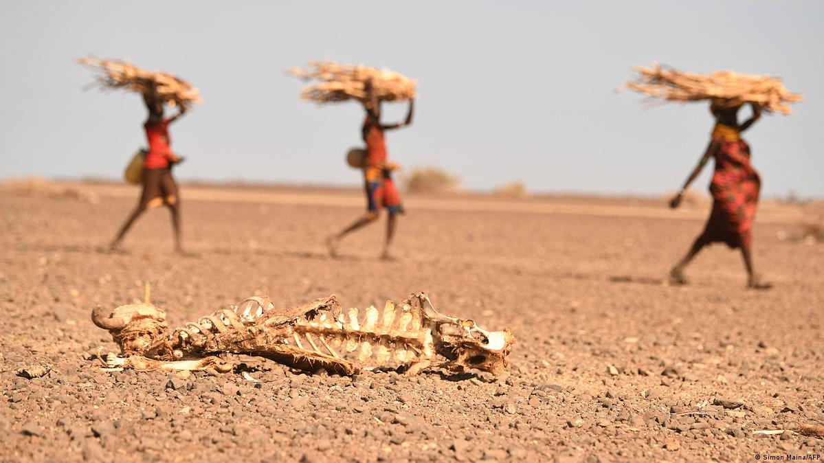 Cada 4 segundos un ser humano muere de hambre en el mundo