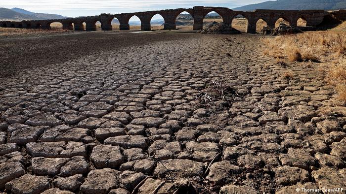 欧洲的夏季经历了极端高温和 500 年来最严重的干旱。西班牙创纪录的热浪导致 500 多人死亡，气温升至 45 摄氏度（113 华氏度）。 在英国，最高气温飙升至40多摄氏度。 非洲大陆的部分地区经历了一千年来最干旱的时期，许多地区被迫定量供水。