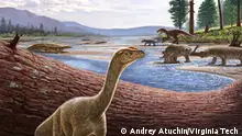 Artistic reconstruction of Mbiresaurus raathi (in the foreground) with the rest of the Zimbabwean animal assemblage in the background. It includes two rhynchosaurs (at front right), an aetosaur (at left), and a herrerasaurid dinosaur chasing a cynodont (at back right). Illustration courtesy of Andrey Atuchin.
A Virginia Tech graduate student found and unearthed the fossil with other paleontologists during two digs in Zimbabwe in 2017 and 2019. Sterling Nesbitt, an associate professor in the Department of Geosciences, said the discovery shows that the ‘early evolution of dinosaurs is still being written with each new find.’
Quelle: https://drive.google.com/file/d/1YIN0h2FVYJMkY-wWyPtQSOA1yjcT1rqy/view
