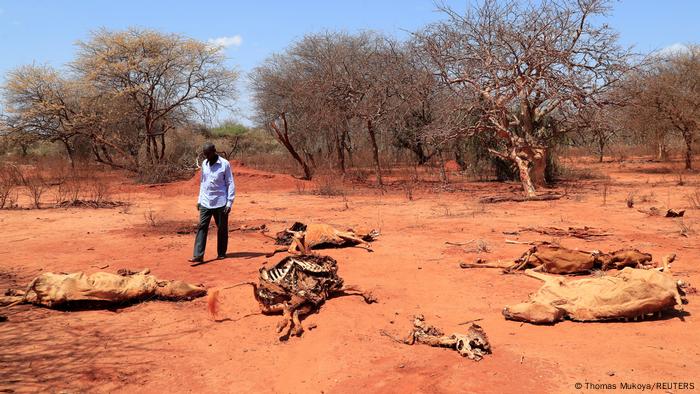 Kenya: Drought on the border with Ethiopia