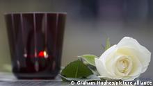 Ecole Polytechnique Anniversary,. A white rose and candle sit on a memorial of one of the 14 women murdered at Ecole Polytechnique on December 6, 1989, during a ceremony to mark the 26th anniversay, in Montreal, on Sunday, Dec. 6, 2015. THE CANADIAN PRESS/Graham Hughes URN:24972749