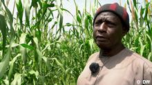 Shifting away from wheat in Senegal Ort: Western Senegal Senegal, Ukraine war, wheat, millet, fertilizers, flour Sendedatum: 03.09.2022 Rechte: DW 