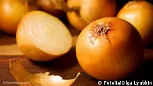 onion; onions; bulb; bulbs; vegetable; vegetables; food; eat; health; healthy; gold; golden; round; peel; slice; sliced; raw; agriculture; cooking; cry; harvest; ingredient; ingredients; uncooked; organic; organic food; diet; still life; kitchen; recipe; veggie; wood; yellow
