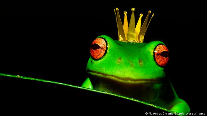 Frosch mit Krone 