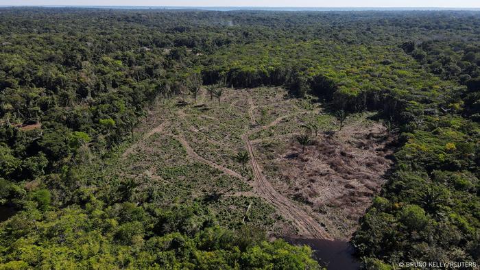 Deforestación en el Amazonas, en Brasil.