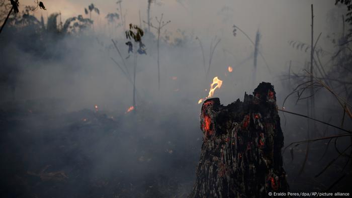 A blackened, glowing tree trunk against a background of smoke and some flames.