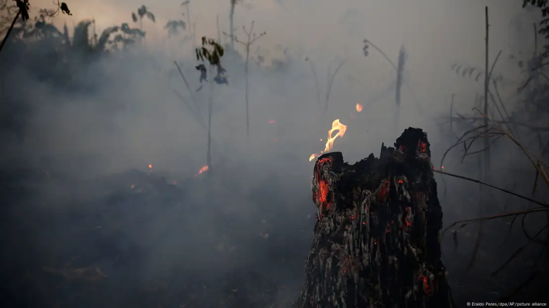 Transamazônica: 50 anos entre ufanismo e desastre ambiental – DW –  27/09/2022