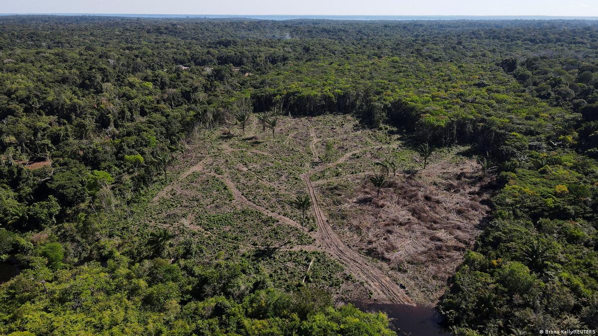 Amazon deforestation falls as leaders meet for key summit – DW – 08/08/2023