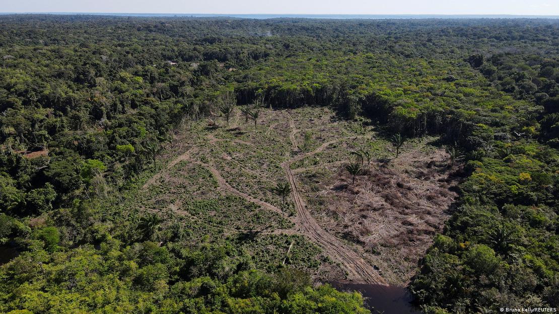 Desmatamento da Amazônia em Manaus