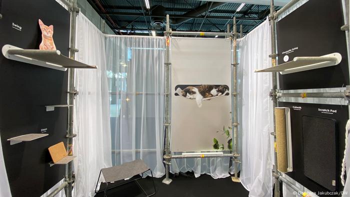 Une startup allemande récompensée au salon Maison et Objet pour son mobilier innovant pour chats Une startup allemande récompensée au salon Maison et Objet pour son mobilier innovant pour chats