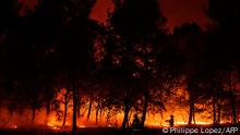 In this photograph taken on late September 12, 2022 firefighters stand in front of flames at a night wildfire in Saumos near Bordeaux, southwestern France, on September 12, 2022. - A fire in progress since September 12, 2022 afternoon has covered 1300 hectares of vegetation and forest in Saumos and forced the evacuation of the town in a context of high temperatures in Gironde. (Photo by PHILIPPE LOPEZ / AFP)