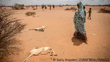 بعضها في العالم العربي.. أسوأ عشرين أزمة إنسانية حول العالم!