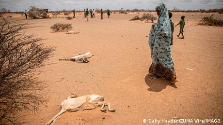 В североизточната част на Сомалия не е валяло дъжд от