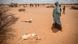 Somalia: A child displaced by drought walks past the rotting carcasses of goats which died from hunger and thirst Somalia: A child displaced by drought walks past the rotting carcasses of goats which died from hunger and thirst