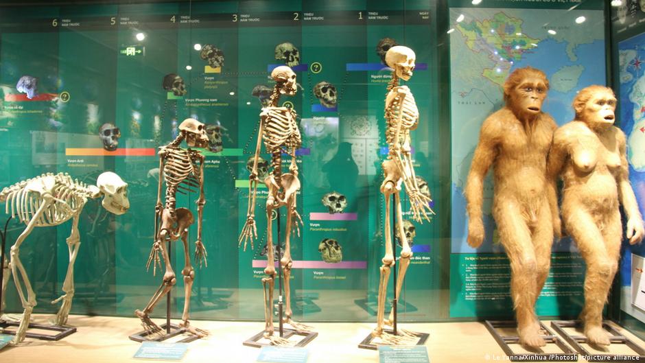 Here′s why we age | Science | In-depth reporting on science and technology | DW - Vimarsana News