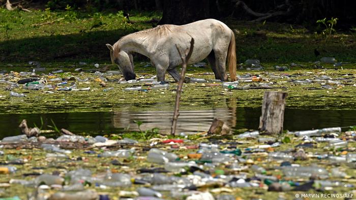 El Salvador Müll Stausee Cerron Grande