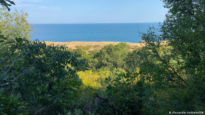 Мястото е уникално: плажът в резервата Балтата е див, недокоснат