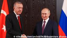 Erdogan diz que Putin estaria disposto a acabar com guerra na Ucrânia 