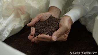 Γαλλία / Καφέ Σπόροι μουστάρδας