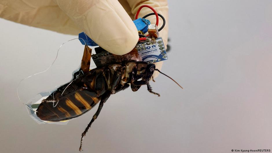 How did drones evolve from tons-heavy killing machines to cyborg cockroaches?