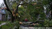 Georgina Scott begutachtet die Schäden durch abgerissene Äste von Bäumen in ihrer Straße. Mit heftigen Regenfällen und Winden in Hurrikan-Stärke hat Wirbelsturm «Fiona» Kanadas Ostküste erreicht. Als so genannter posttropischer Sturm traf er am frühen Samstagmorgen (Ortszeit) mit Windgeschwindigkeiten von bis zu 148 Stundenkilometern in der Provinz Nova Scotia auf Land. +++ dpa-Bildfunk +++