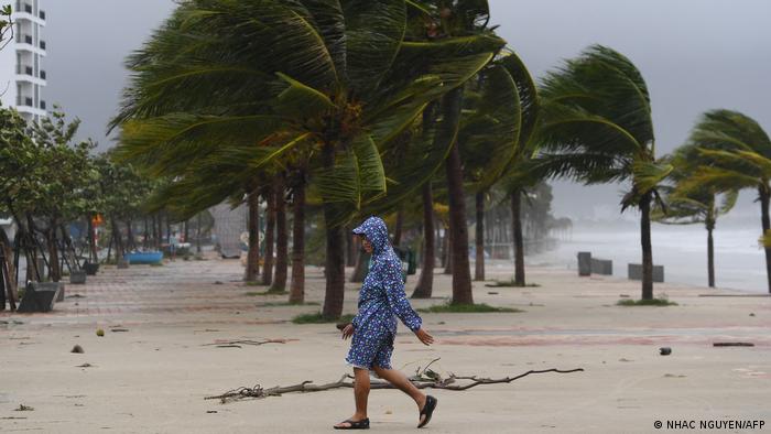 El viento azota las palmeras sobre la playa tras el paso del tifón Noru en Danang.