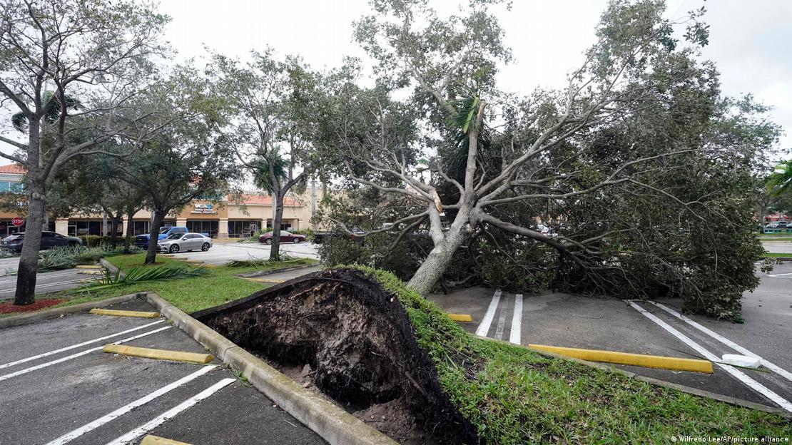Откорнати дрвја од ураганот „Ијан“ на Флорида
