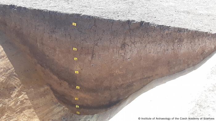 Pared de la zanja que revela la estratigrafía (diferentes capas) de la excavación.