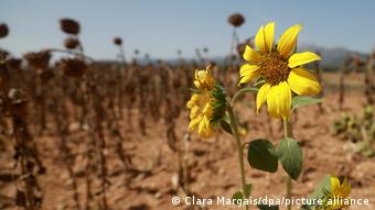 Ορατή η κλιματική αλλαγήF