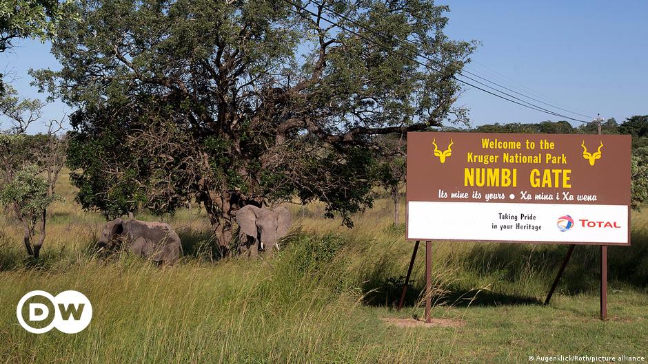 South Africa: German tourist shot dead near Kruger National Park
