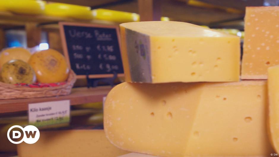 Niederländischer Gouda: ein beliebter Käse weltweit | Euromaxx- Leben ...