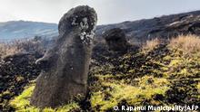 This handout picture shows dark scorch marks on the surface of Easter Island's famous maoi stone statues following a fire