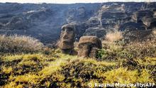 Weitere Moai-Statue auf Osterinsel entdeckt