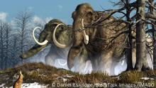 A rabbit witnesses a herd of mammoths in a snowy forest. PUBLICATIONxINxGERxSUIxAUTxONLY Copyright: DanielxEskridge/StocktrekxImages DEK600027P
a Rabbit Witnesses a Stove of mammoths in a Snowy Forest PUBLICATIONxINxGERxSUIxAUTxONLY Copyright DanielxEskridge StocktrekxImages DEK600027P