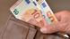 Wallet with Euro banknotes Wallet with Euro banknotes
