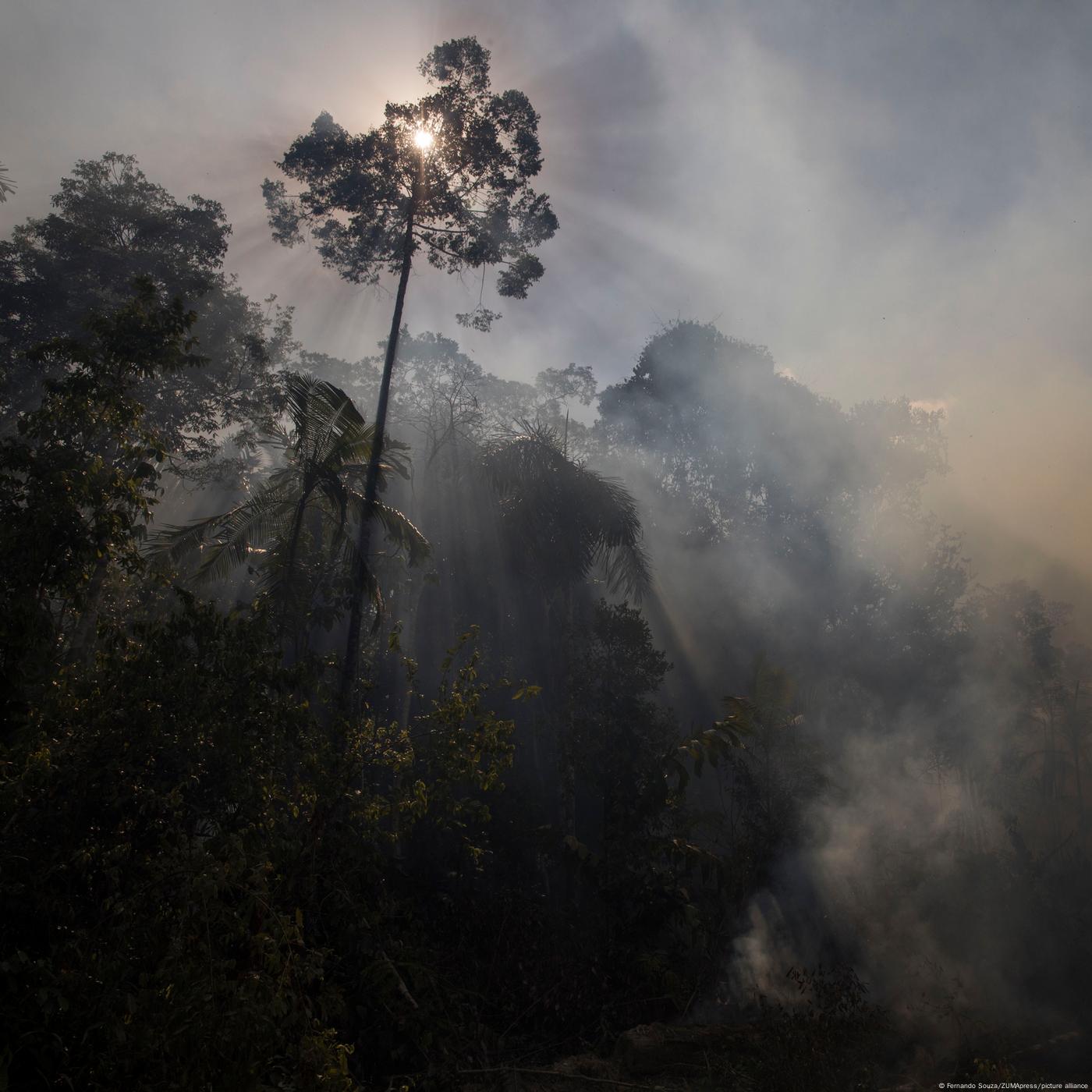 Assault on the Amazon's guardians