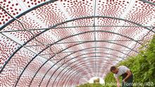 12.10.2022, Halle, Deutschland, Hélène Fontaine | Burg Giebichenstein Kunsthochschule Halle
Die langlebige und flexibel verwendbare 2harvest Gewächshausfolie aus PET besitzt integrierte organische Photovoltaikzellen. Damit wird eine Doppelnutzung der landwirtschaftlichen Fläche ermöglicht; zeitgleich können Energie und Nahrung produziert werden. Durch die OPV Folie können Gewächshäuser effizienter betrieben werden, da sie die Energie für die Beheizung selbst produzieren. Sie sind wind– und wetterfest und können bei Defekten einzeln ausgetauscht werden.
