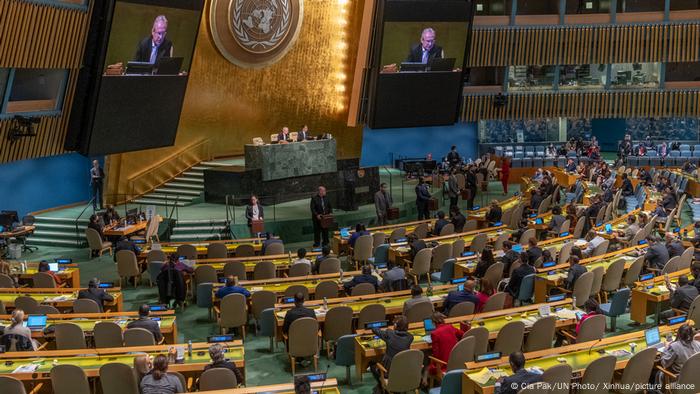 Asamblea General de la ONU