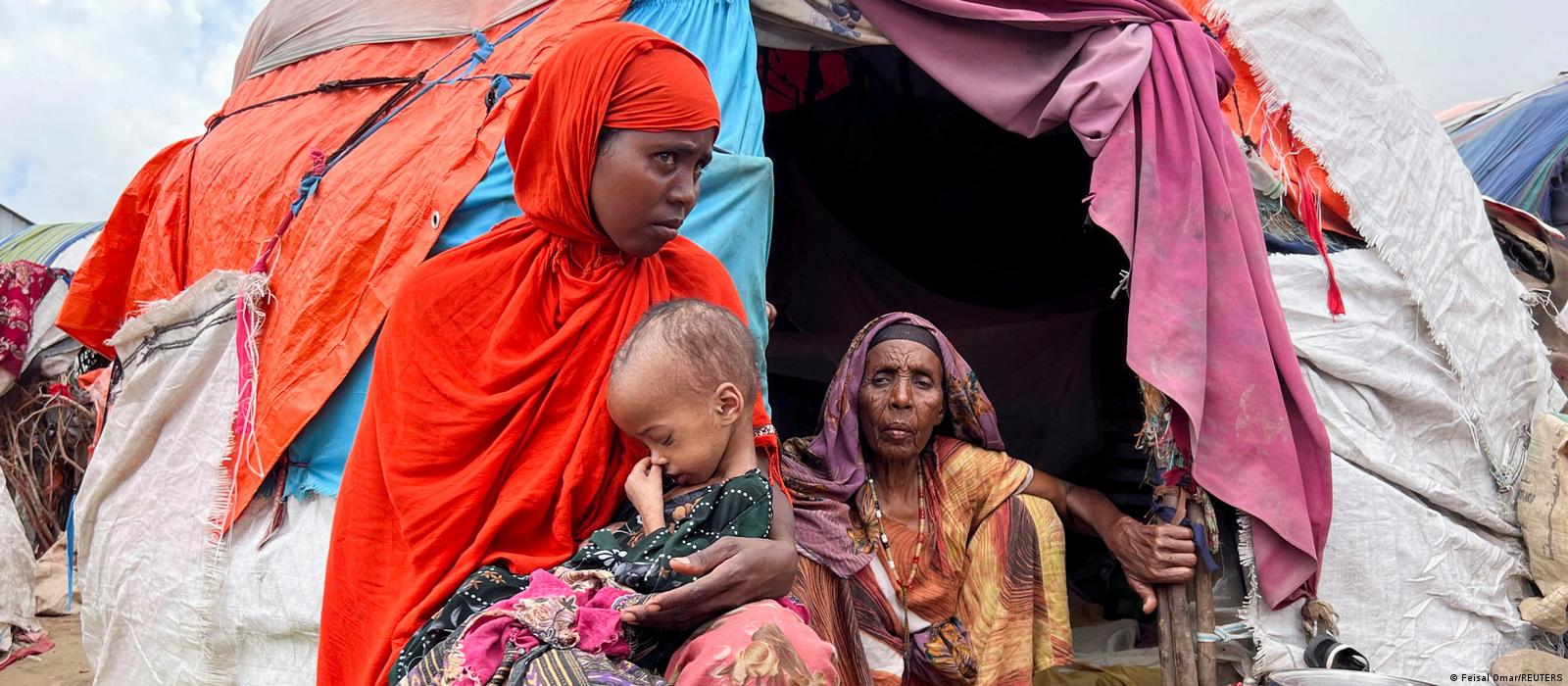 Alimentando A Nuestras Familias “Donación Virtual De Alimentos” – Telemundo  Nueva Inglaterra, image size:1600x700