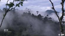 Chocó Andino: el bosque del agua