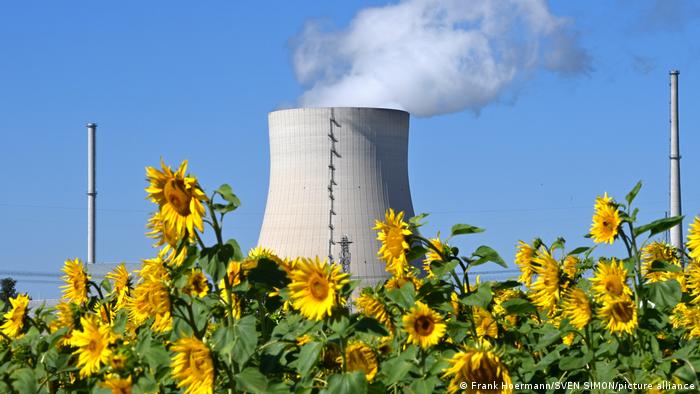 Hinter einigen Sonnenblumen ist der Kühlturm des Atomkraftwerke Isar 2 in Bayern zu sehen.