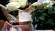 Flores acompañadas de un mensaje escrito a mano: "Descansa en paz Lola, fuerza para la familia". Flores acompañadas de un mensaje escrito a mano: "Descansa en paz Lola, fuerza para la familia".