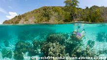 Corals in shallow Water, Raja Ampat, West Papua, Indonesia || Modellfreigabe vorhanden