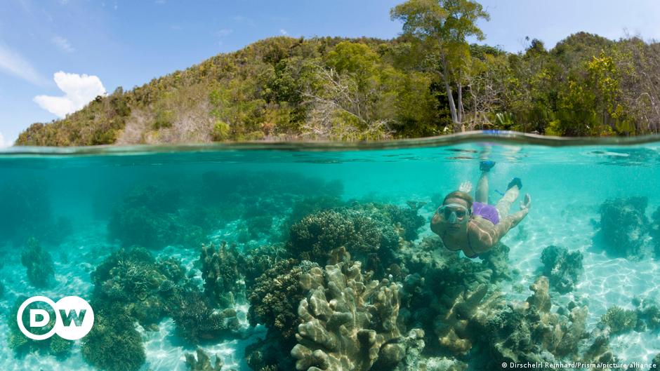 Warum das Korallensterben ein Problem ist