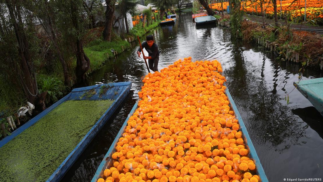 Canal de Xochimilco, transportando flores para el Día de Muertos.