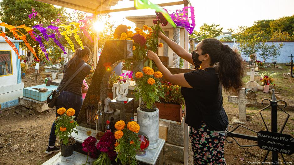 La flor de cempasúchil, símbolo del Día de Muertos en México | Todos los  contenidos | DW | 21.10.2022